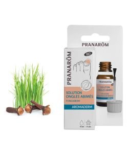FONGIAROM SOLUTION ONGLES JAUNIS (BIO) ECO 10 ML BIO, 10 ml
